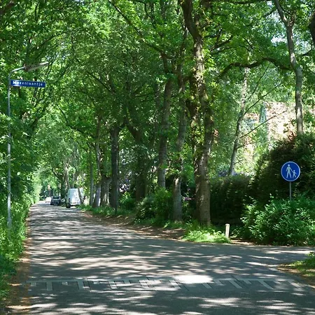 De Schutse Bergen